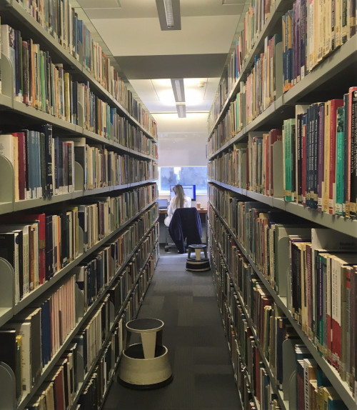 Two rows of book cases face each other, at the end is a desk with a student working at a computer in front of a window. 